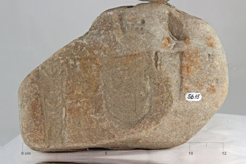 Sandsten med hvide ormerør, Diplocration