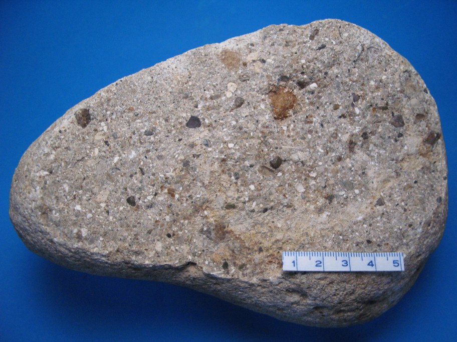 Åhus sandsten med skalrester