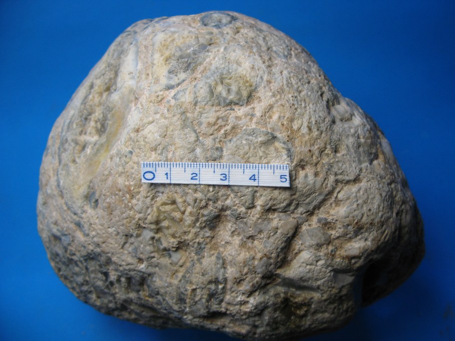 Flintkonglomerat