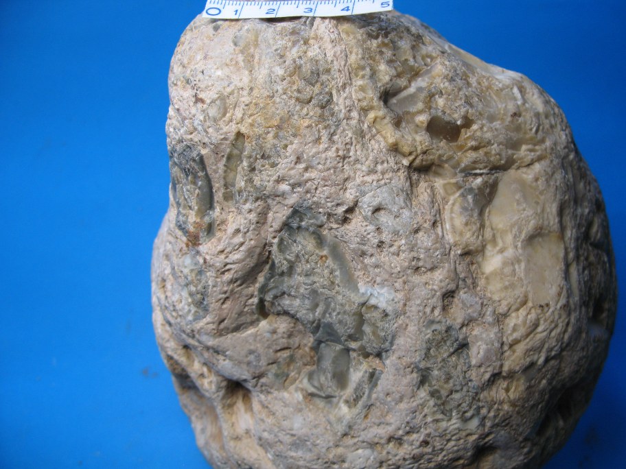 Nærbillede af Flintkonglomerat