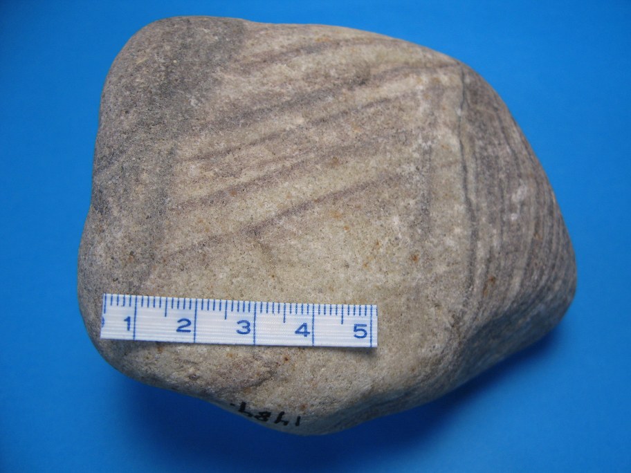 Chiasmasandsten